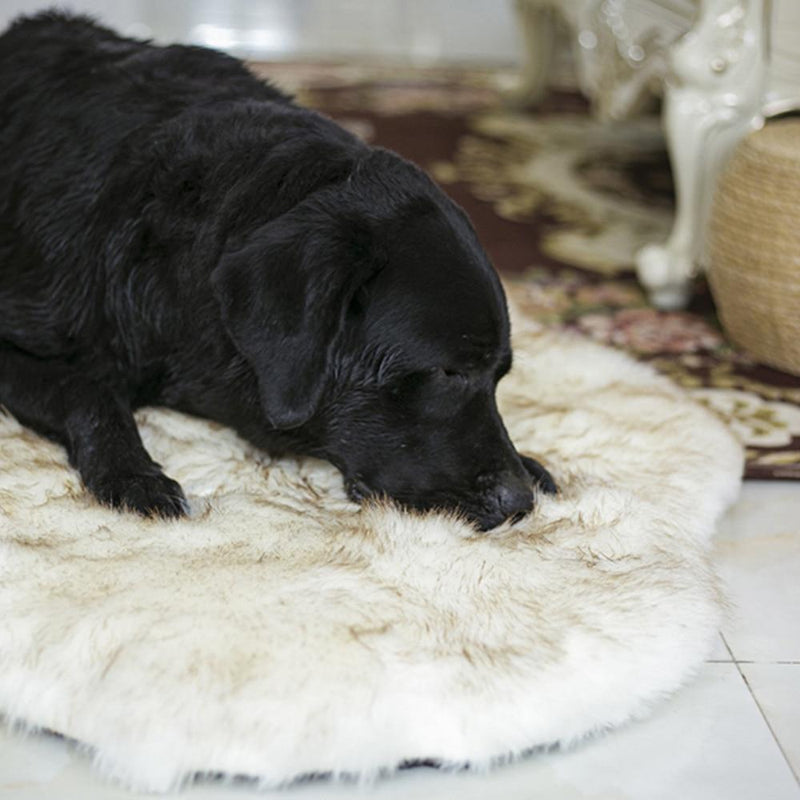 Faux Fur Foam Dog Bed