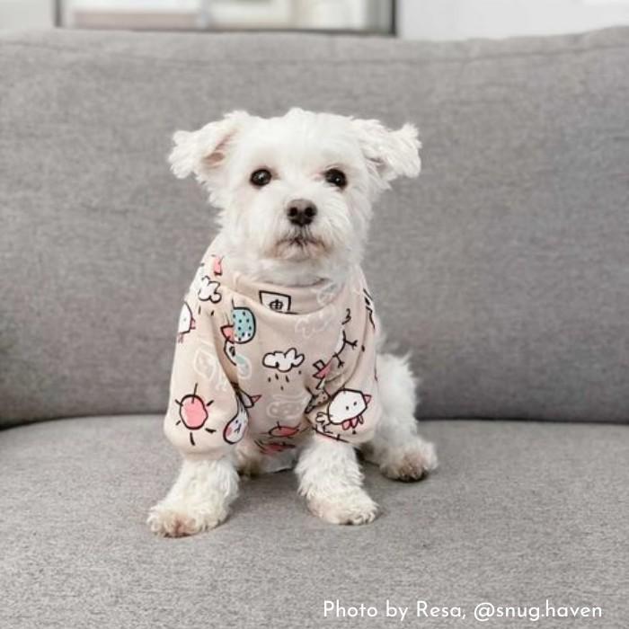 Puppy Pastels Sweater