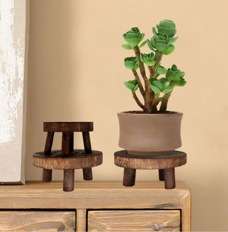 Petra Wood Plant Stands