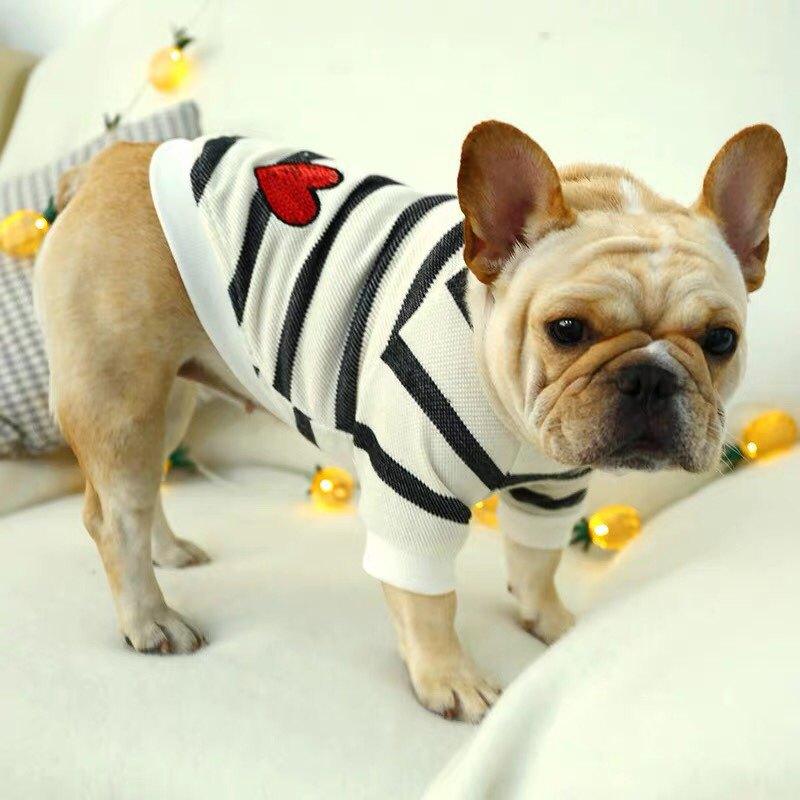 Striped Puppy Sweater